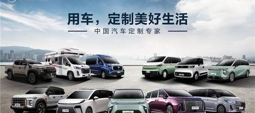 国产自在,探寻中国本土文化的独特魅力